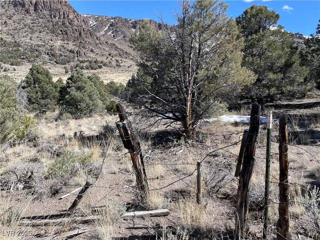 P-19 Butte Valley Property Photo 2