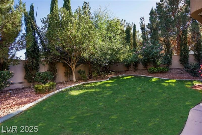 1008 Trophy Hills Drive Property Photo 38