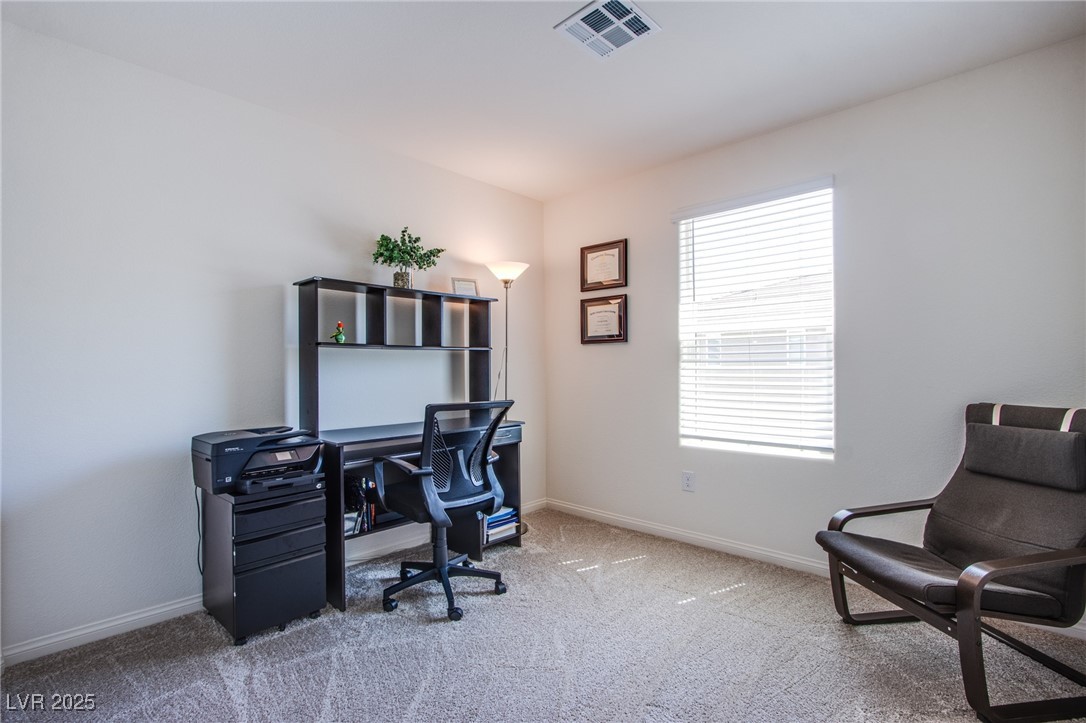 6819 Citron Mist Court Property Photo 22