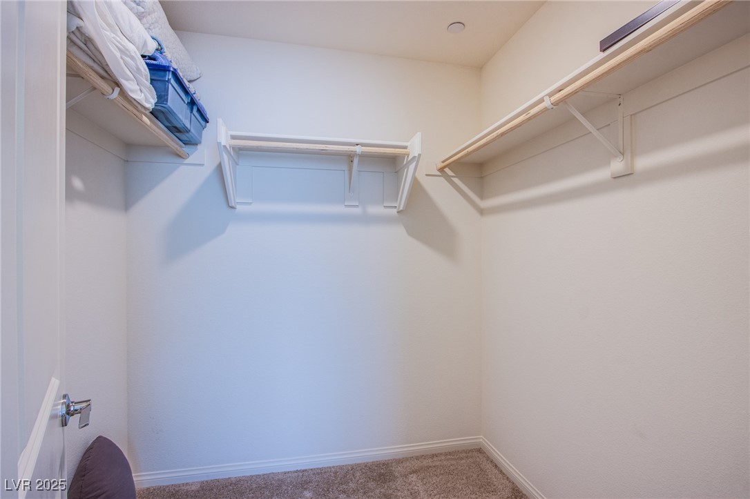 6819 Citron Mist Court Property Photo 24