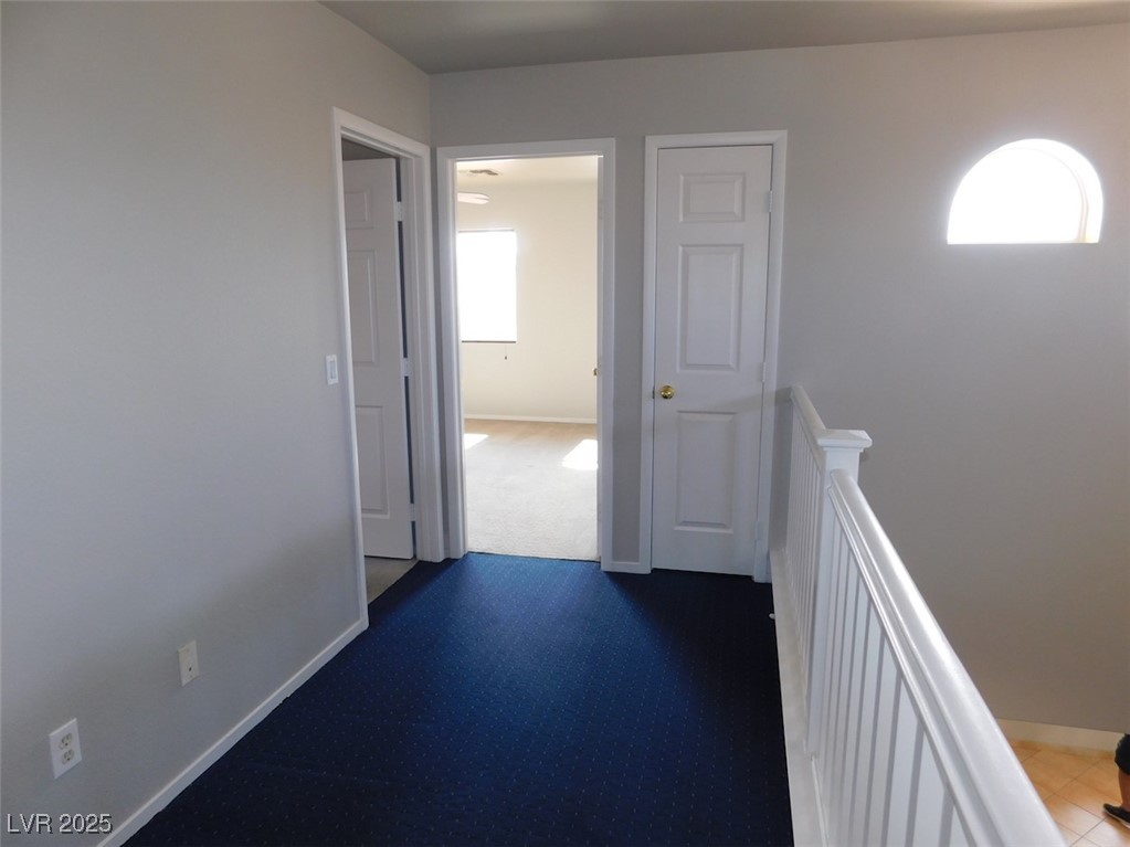 2905 Shimmering Bay Street Property Photo 32