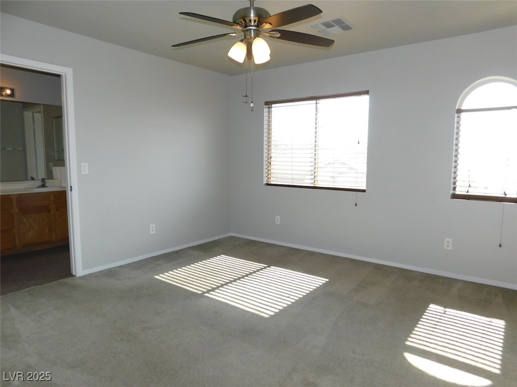 2905 Shimmering Bay Street Property Photo 33