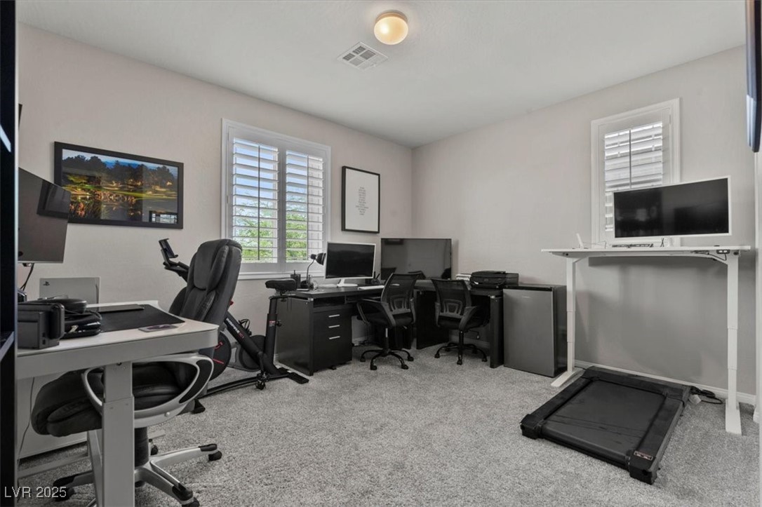 7456 Tinley Creek Avenue Property Photo 31