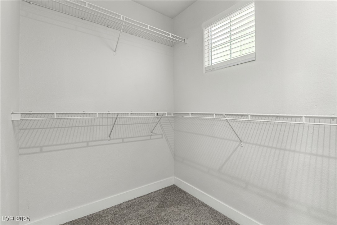 4028 Spring Line Street Property Photo 21