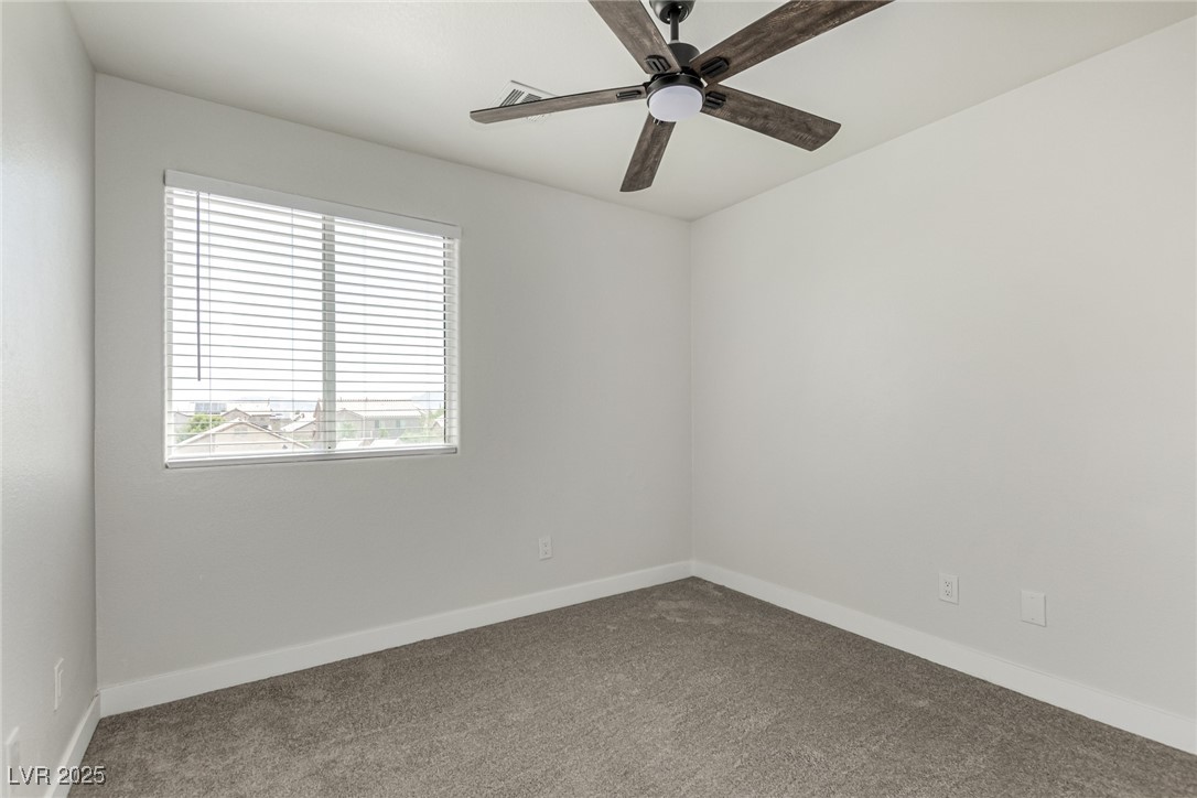 4028 Spring Line Street Property Photo 22