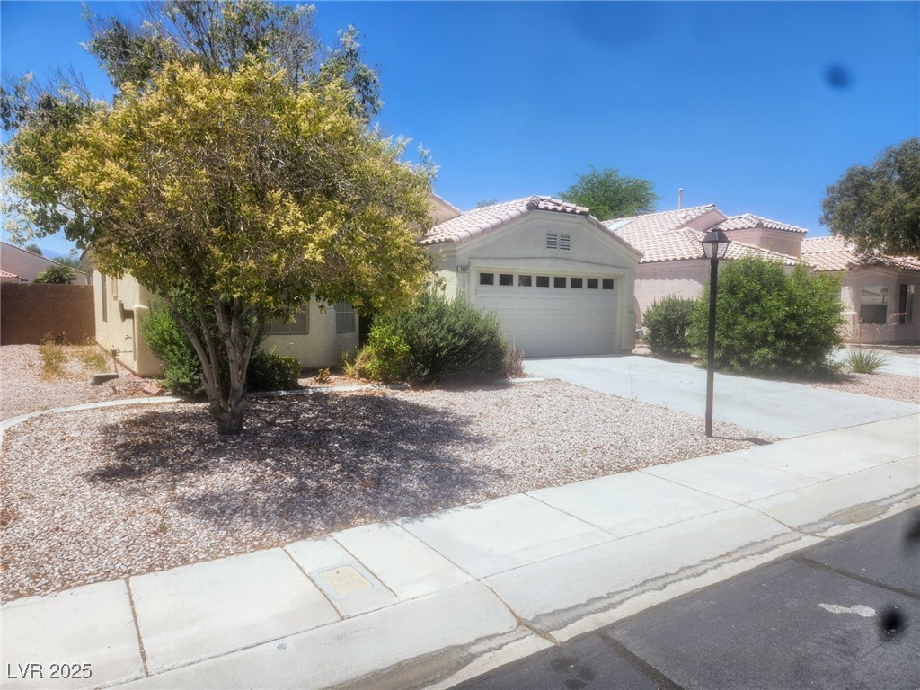 7657 Velvet Mist Street Property Photo 1