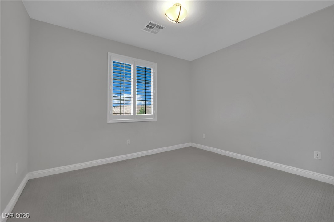 3921 Jacob Lake Circle Property Photo 53