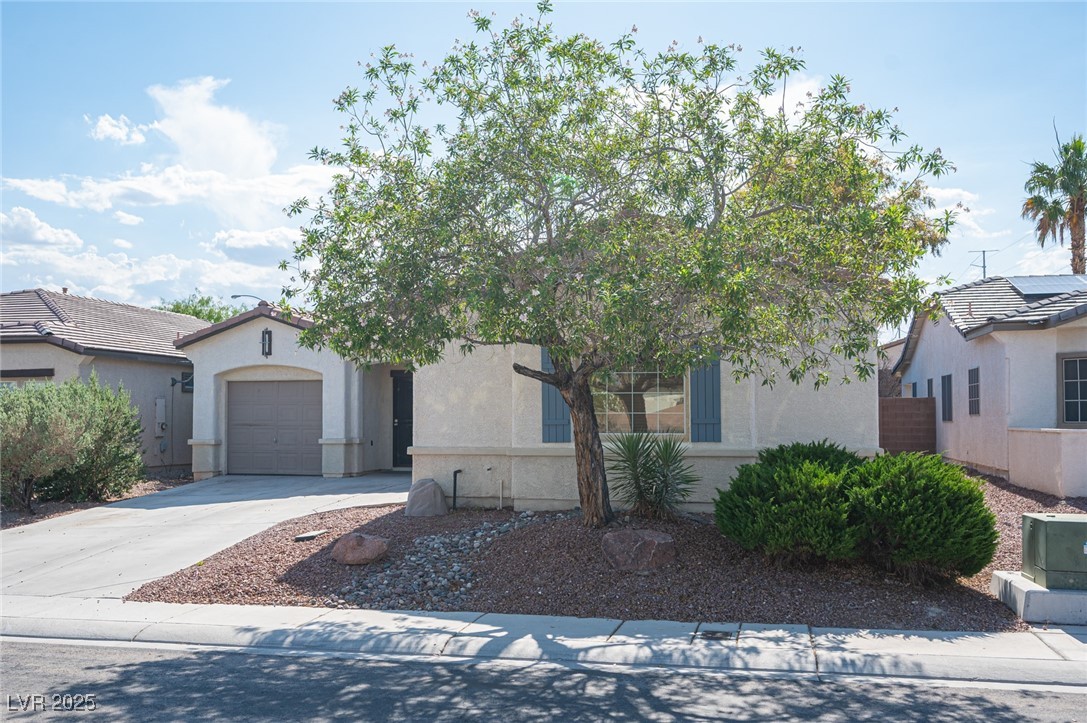 6333 Sterling Ranch Way Property Photo 4