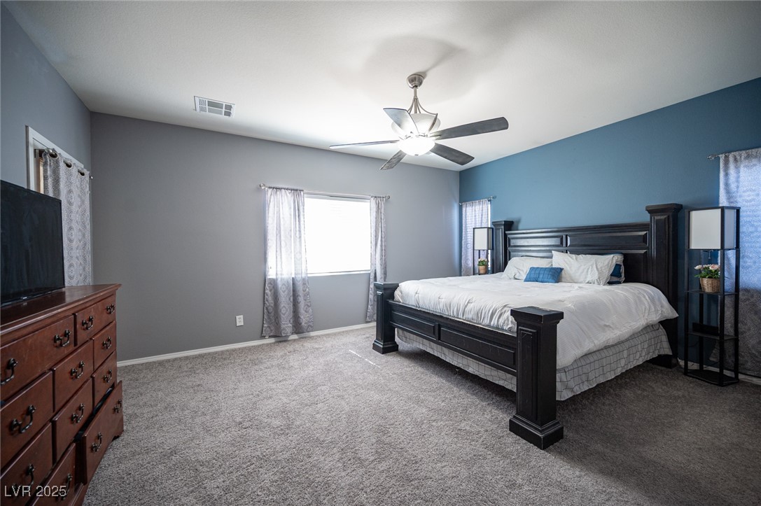6333 Sterling Ranch Way Property Photo 34