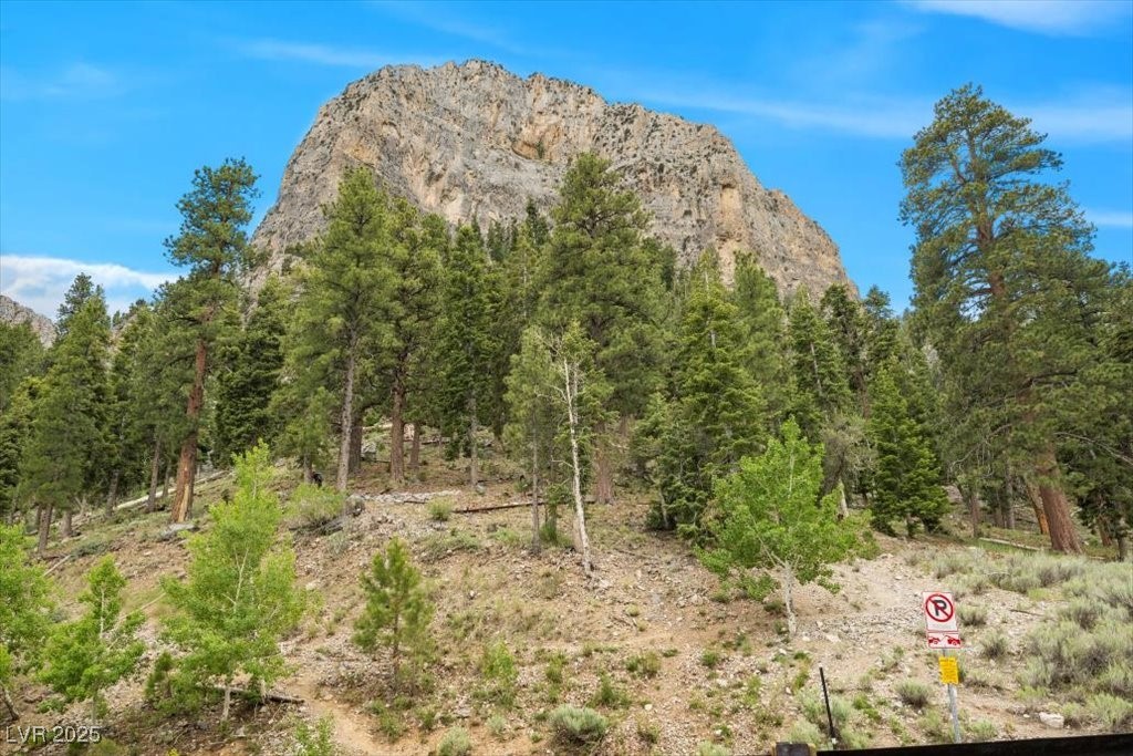 4830 Silver Tip Way Property Photo 37