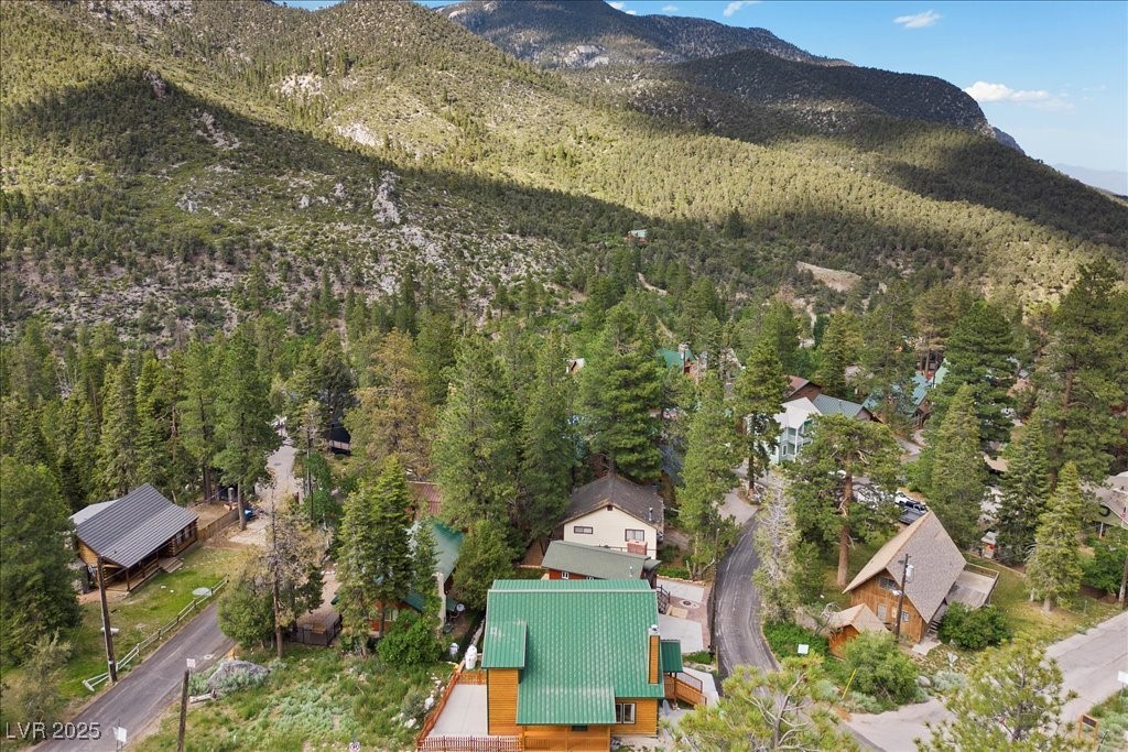 4830 Silver Tip Way Property Photo 48