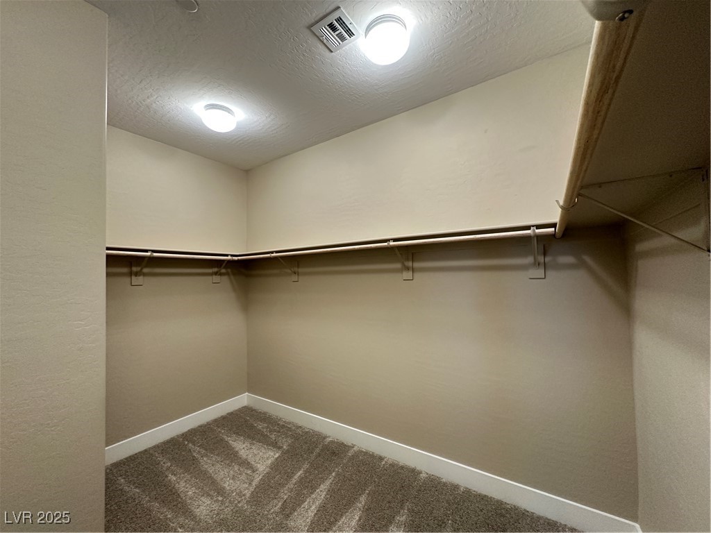 11857 River Hawk Avenue Property Photo 22