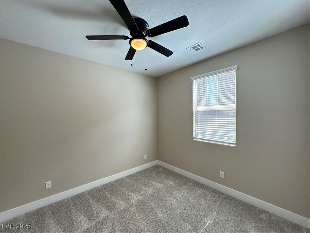 11857 River Hawk Avenue Property Photo 23