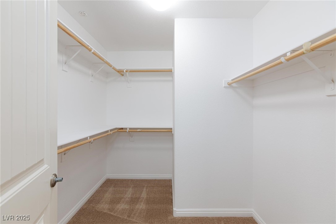 1037 Water Cove Street Property Photo 21