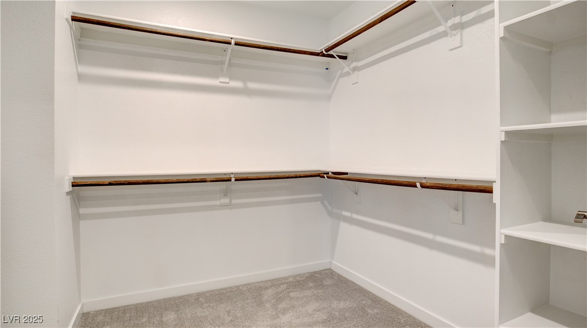 3219 Timorasso Avenue Property Photo 15