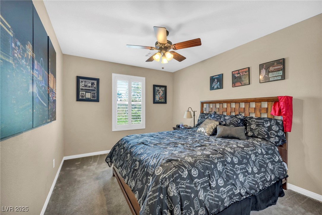 10312 Glimmering Star Drive Property Photo 22