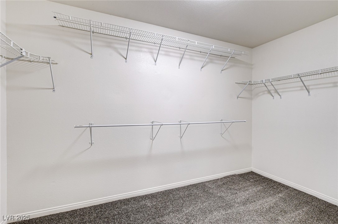 902 Cripple Creek Court Property Photo 41