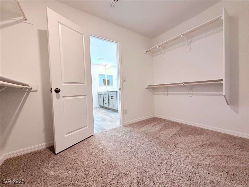 7934 Texas Hills Street Property Photo 28