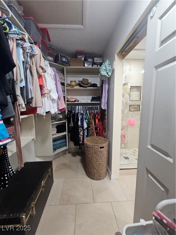 2913 Domino Way Property Photo 19