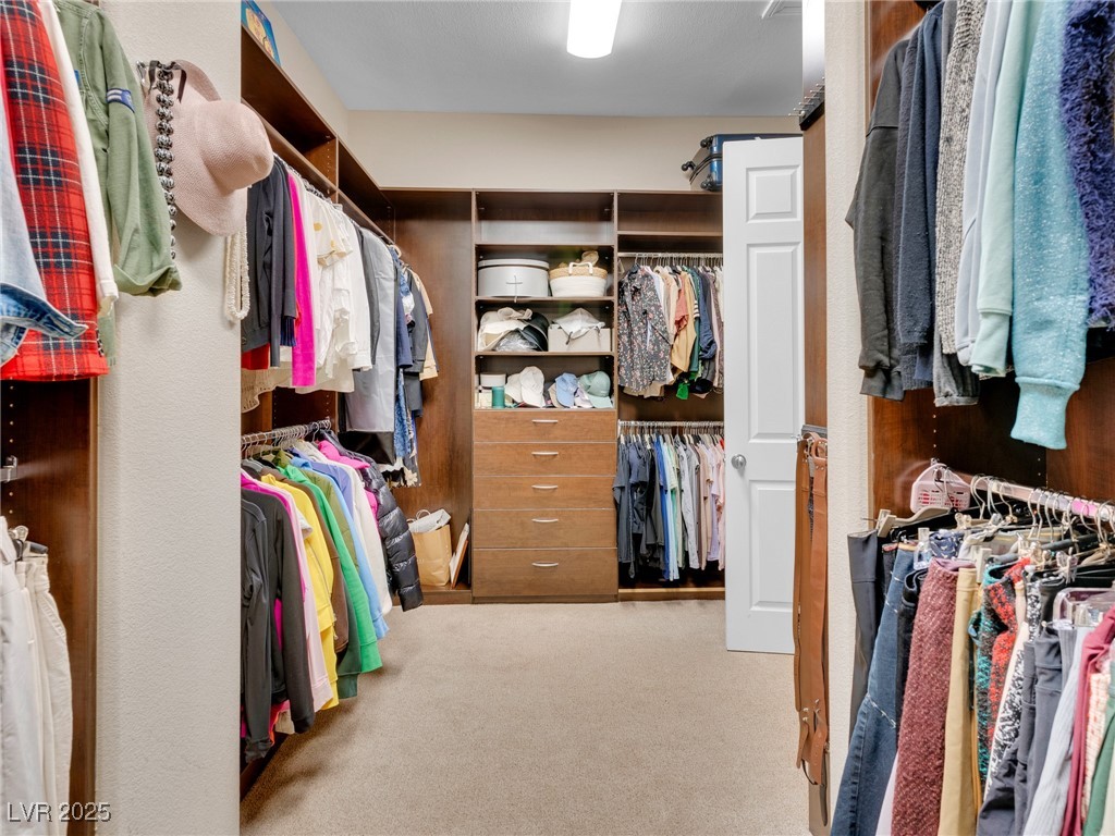 12056 Royal Dolnoch Court Property Photo 40