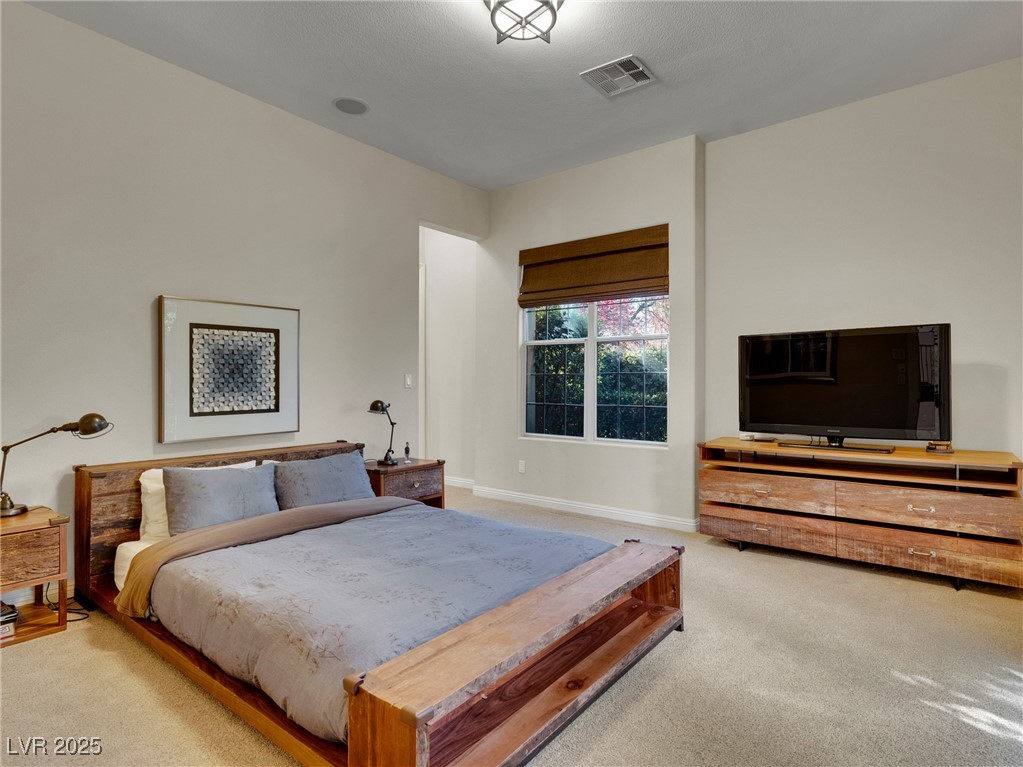 12056 Royal Dolnoch Court Property Photo 44