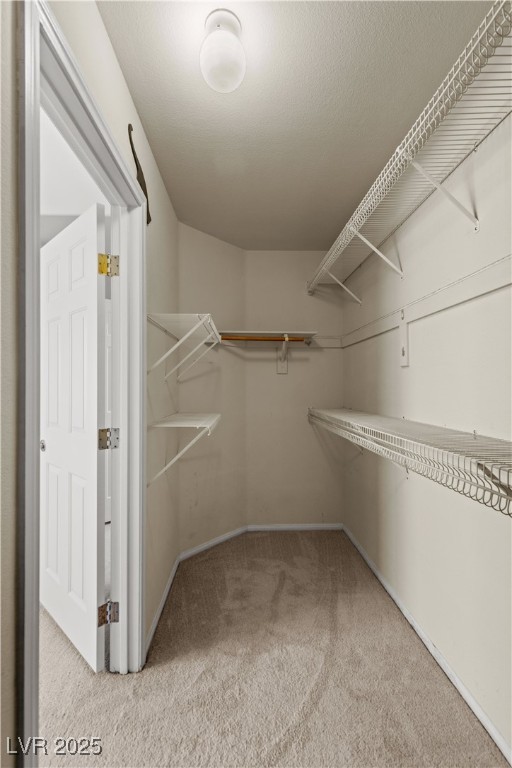 7825 White Grass Avenue Property Photo 42