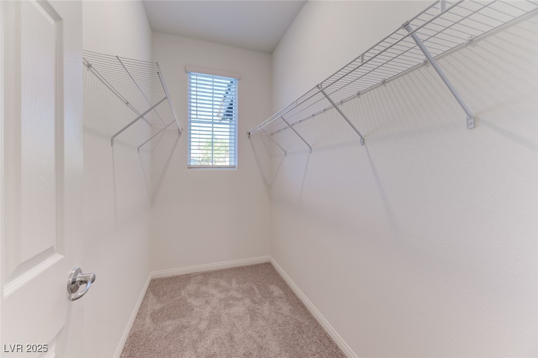 9133 Ruby Cove Court Property Photo 6