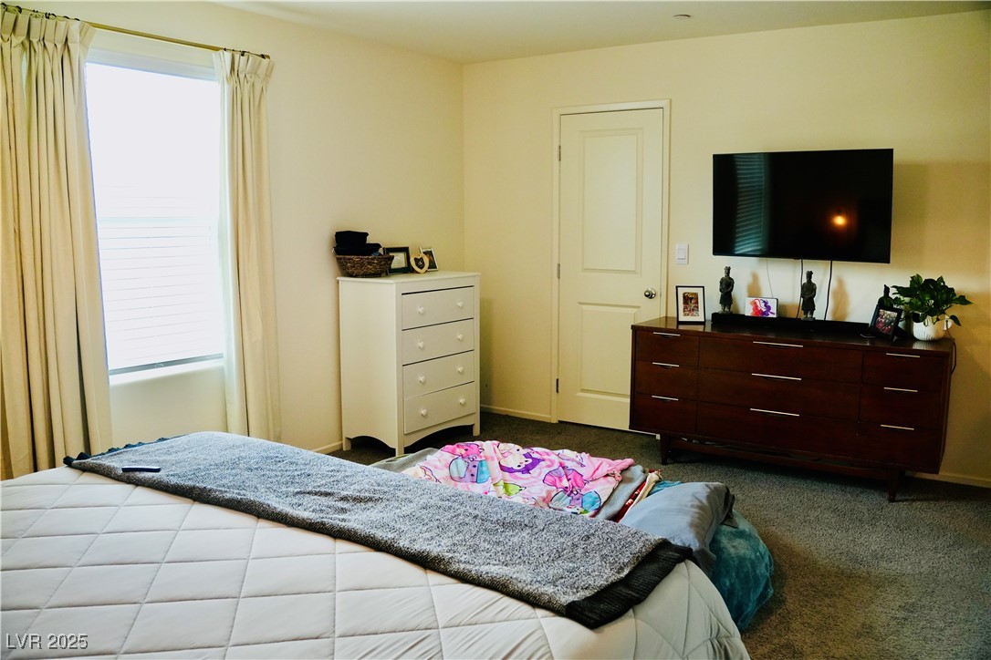 3763 Sonrisa Vista Avenue Property Photo 22