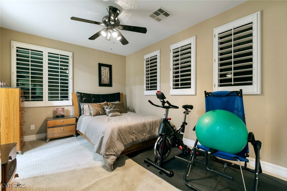 2837 Turtle Head Peak Drive Property Photo 16