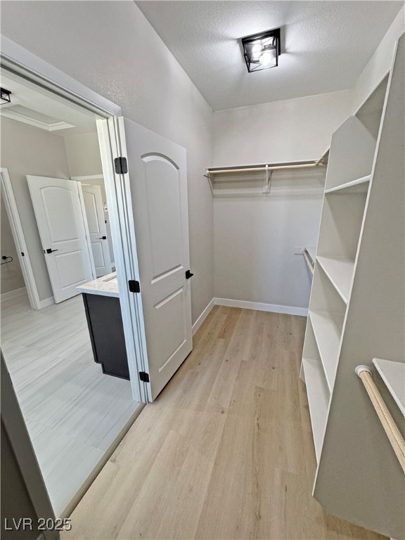 1131 Lupin Street Property Photo 48