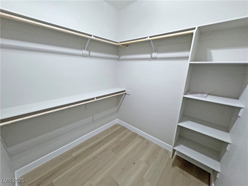 1131 Lupin Street Property Photo 52