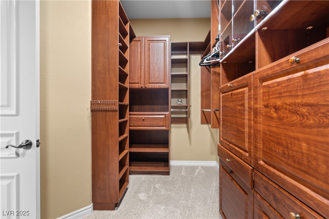 1016 Sable Mist Court Property Photo 39