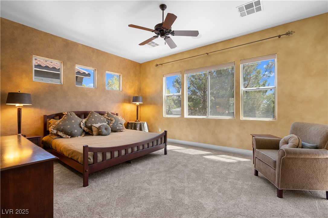 1016 Sable Mist Court Property Photo 42
