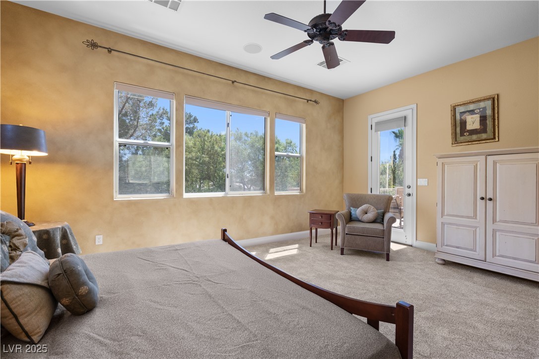 1016 Sable Mist Court Property Photo 43