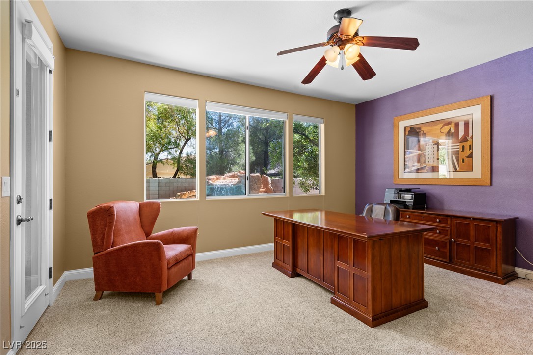 1016 Sable Mist Court Property Photo 66
