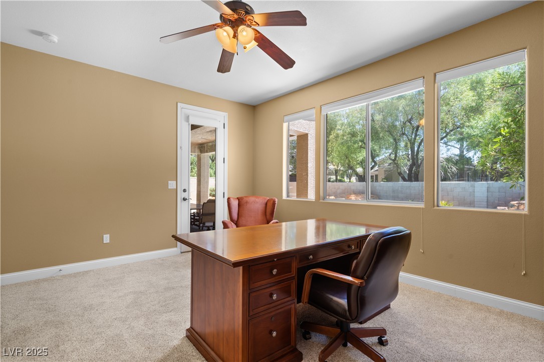 1016 Sable Mist Court Property Photo 67