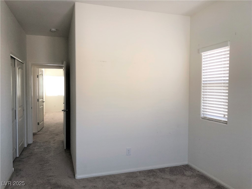 8380 Spanish Creek Court Property Photo 22