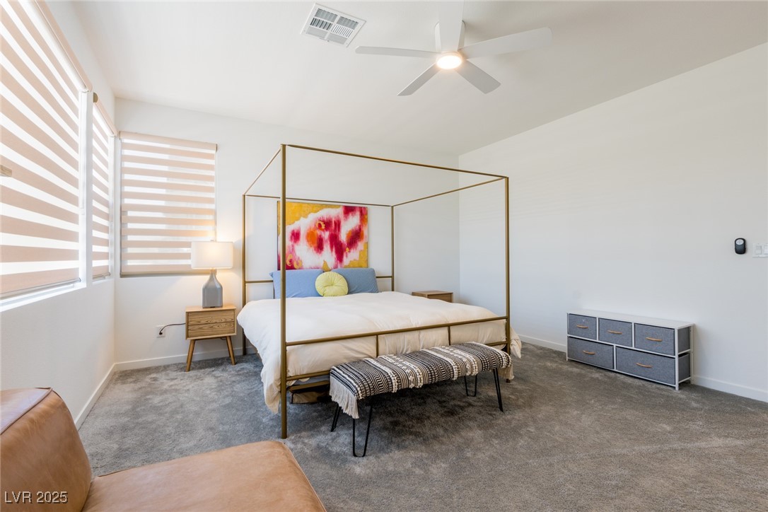 6927 Desert Finch Street Property Photo 21