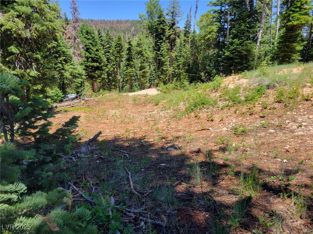 845 West Tamarisk Circle Property Photo 8