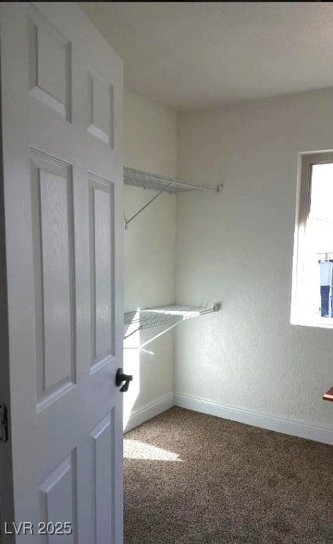 728 Apple Tree Court Property Photo 3