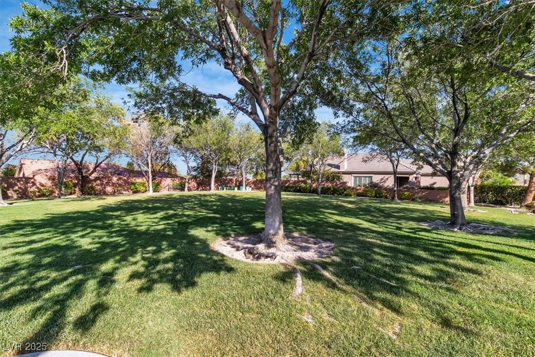 11253 Revelry Lane Property Photo 33