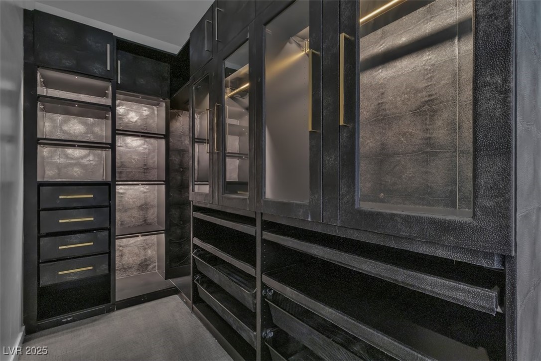 10752 Patina Hills Court Property Photo 46