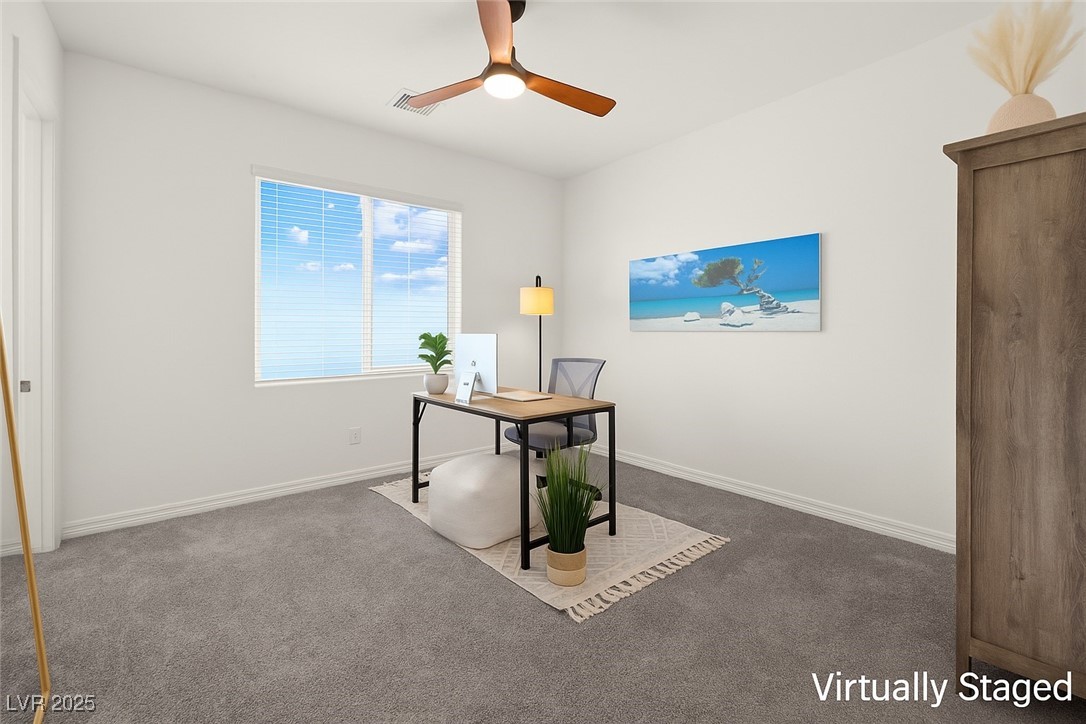 9743 Mojave Mountain Street Property Photo 43