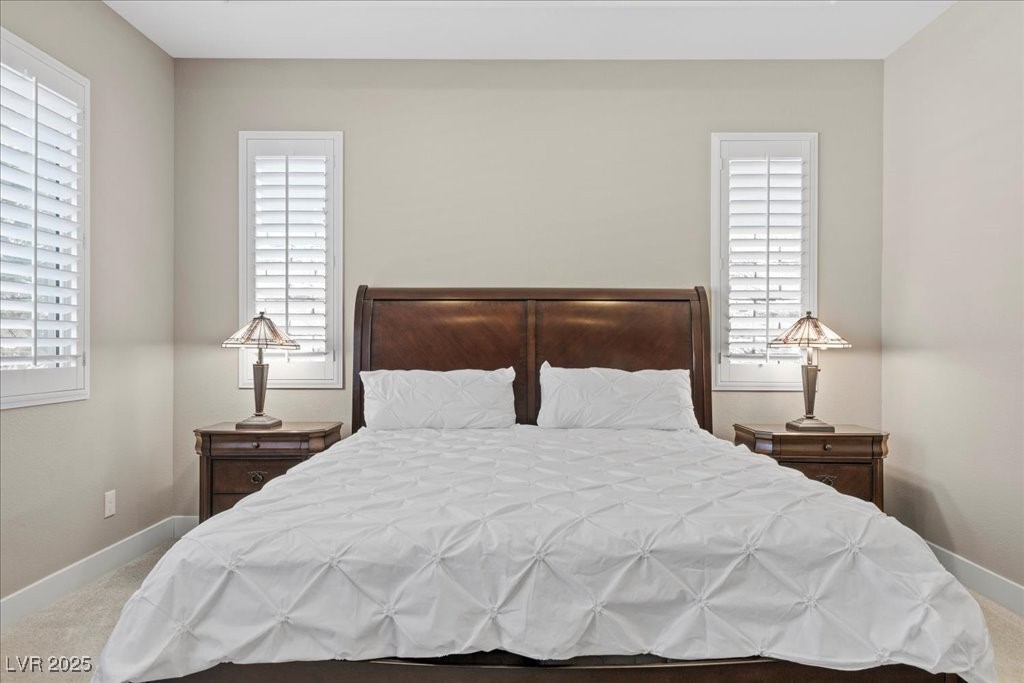 251 Castellari Drive Property Photo 37