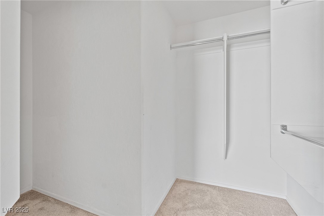 9175 Titan Hill Court Property Photo 19