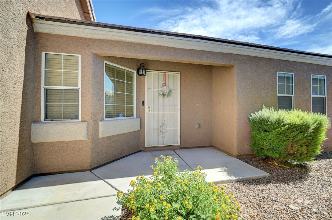 4841 Raw Umber Court Property Photo 3