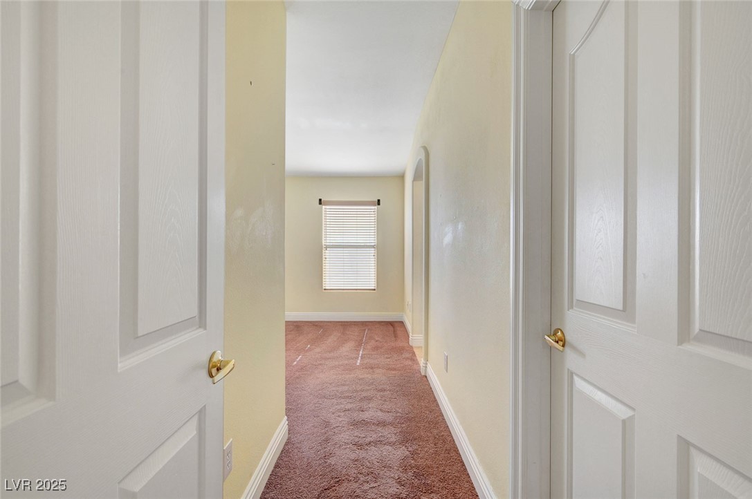4841 Raw Umber Court Property Photo 24