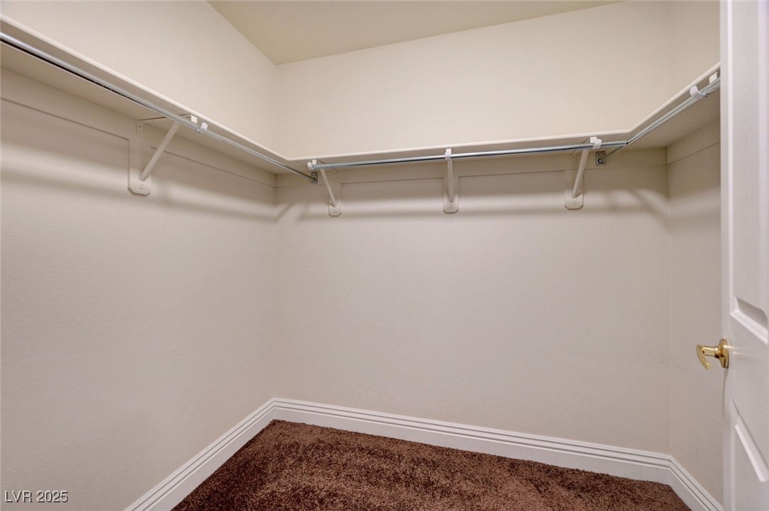 4841 Raw Umber Court Property Photo 30