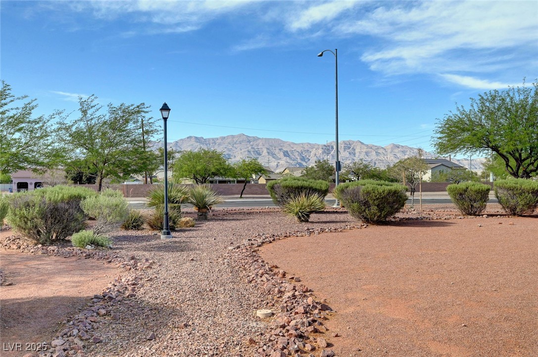 4841 Raw Umber Court Property Photo 42
