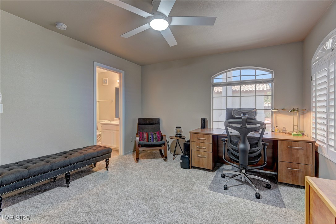 278 Star Cluster Circle Property Photo 17